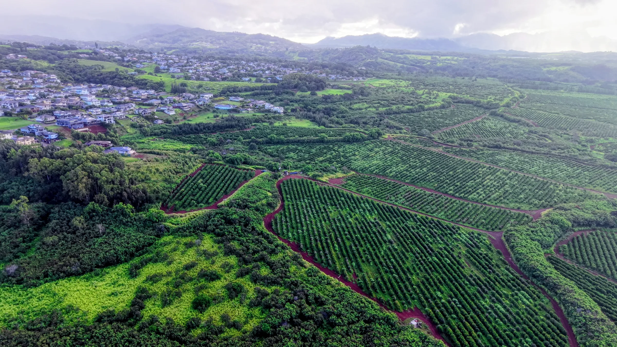Aerial still — Kauai from above